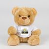 Bear in a t-shirt Thumbnail